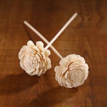 Load image into Gallery viewer, Dried Flower Fire-Free Aromatherapy Diffuser Sticks